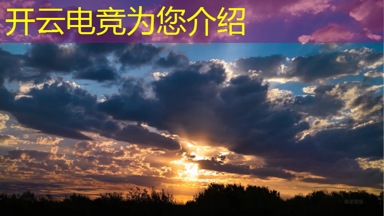 开云电竞为您介绍：电竞赛事运营与管理专业