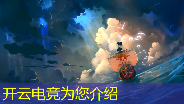 开云电竞为您介绍：国内专业的电竞机构有哪些公司